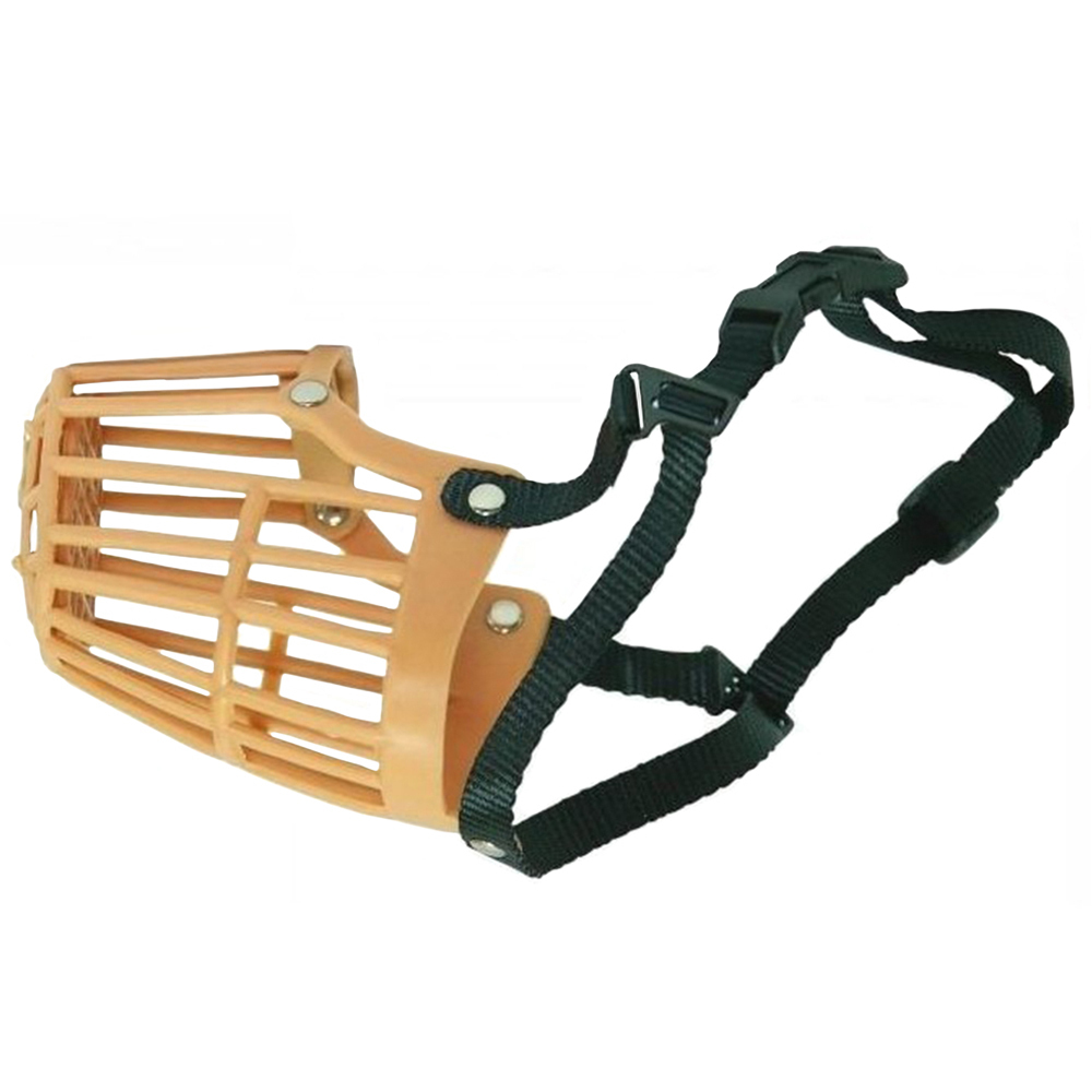 basket muzzle training