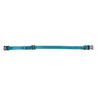 Prestige Pet 3/8 Inch Adjustable Nylon Puppy Collar Turquoise 23-36cm