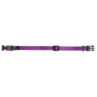 Prestige Pet 3/4 Inch Adjustable Nylon Dog Collar Purple 30-46cm