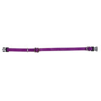 Prestige Pet 1 Inch Adjustable Nylon Dog Collar Purple 41-71cm