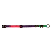 Prestige Pet 3/4" Adjustable Nylon Dog Collar Rainbow 12-19" 30-48cm