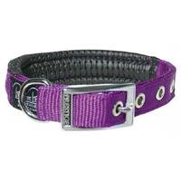 Prestige Pet Soft Padded Adjustable Dog Collar Purple 3/4 Inch x 41cm