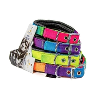 Prestige Pet Soft Padded Nylon Dog Collar Rainbow 3/4 x 16" 41cm