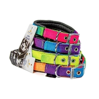 Prestige Pet Soft Padded Nylon Dog Collar Rainbow 3/4 x 20" 51cm