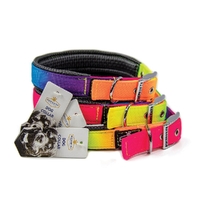 Prestige Pet Soft Padded Nylon Dog Collar Rainbow 1 x 24" 61cm