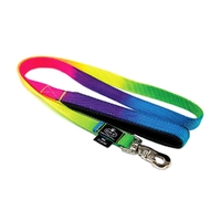 Prestige Pet Soft Padded Nylon Dog Leash Rainbow 3/4 x 4' 122cm