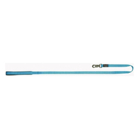 Prestige Pet Soft Padded Dog Leash Turquoise 3/4 Inch x 122cm