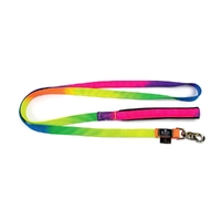 Prestige Pet Soft Padded Nylon Dog Leash Rainbow 3/4 x 6' 183cm