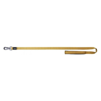 Prestige Pet Soft Padded Dog Leash Gold 1 Inch x 122cm