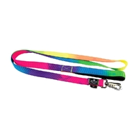 Prestige Pet Soft Padded Nylon Dog Leash Rainbow 1" x 6' 183cm