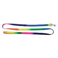 Prestige Pet Nylon Dog Leash Chrome Plated Rainbow 3/4" x 4' 122cm