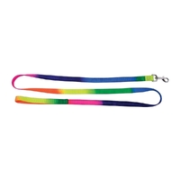 Prestige Pet Nylon Dog Leash Chrome Plated Rainbow 3/4" x 6' 183cm 