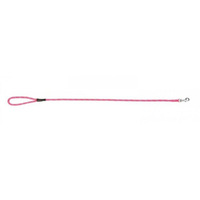 Prestige Pet Mountain Nylon Dog Leash Hot Pink 8mm x 122cm