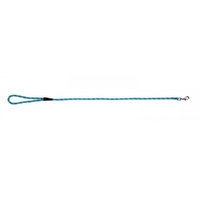 Prestige Pet Mountain Nylon Dog Leash Turquoise 8mm x 122cm