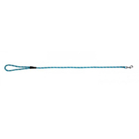 Prestige Pet Mountain Nylon Dog Leash Turquoise 8mm x 183cm