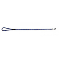 Prestige Pet Mountain Nylon Dog Leash Blue 13mm x 61cm