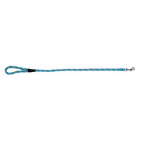 Prestige Pet Mountain Nylon Dog Leash Turquoise 13mm x 61cm