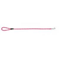 Prestige Pet Mountain Nylon Dog Leash Hot Pink 13mm x 122cm