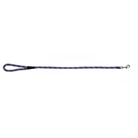 Prestige Pet Mountain Nylon Dog Leash Purple 13mm x 122cm