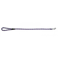 Prestige Pet Mountain Nylon Dog Leash Purple 13mm x 183cm