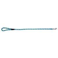 Prestige Pet Mountain Nylon Dog Leash Turquoise 13mm x 183cm