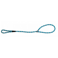 Prestige Pet Mountain Choker Dog Leash Turquoise 13mm x 122cm