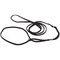 Prestige Pet Nylon Show Dog Lead Black 7mm x 122cm