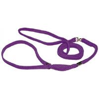 Prestige Pet Nylon Show Dog Lead Purple 7mm x 122cm