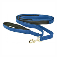 Prestige Pet Flat Nylon Dog Recall Lead 1 Inch x 7m Blue