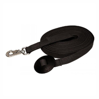 Prestige Pet Flat Poly Cotton Dog Recall Lead 1 Inch x 30 Ft Black