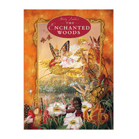 The Enchanted Woods by Shirley Barbers Childrens Book (BRO263476)