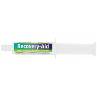 Ranvet Recovery Drench Horses Vitamin Training Aid Paste 80ml