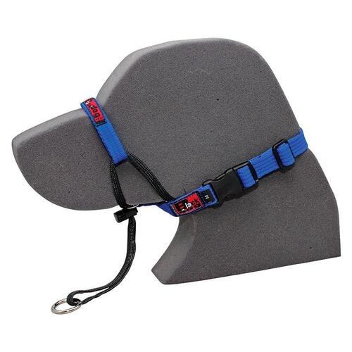 Black Dog Adjustable Dog Training Head Halter Blue Small