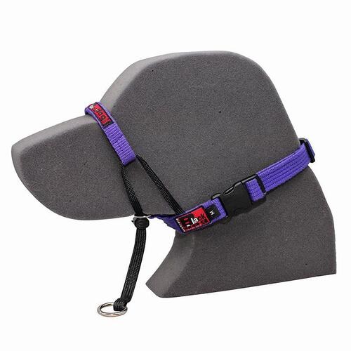 Black Dog Adjustable Dog Training Head Halter Purple Small