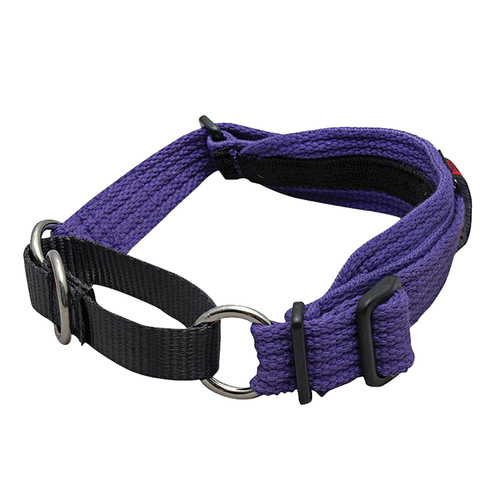 Black Dog Whippet Adjustable Dog Collar Purple 28-36cm