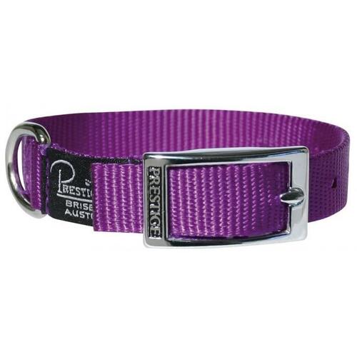 Prestige Pet Single Layer Nylon Adjustable Dog Collar Purple 3/4 Inch x 36cm