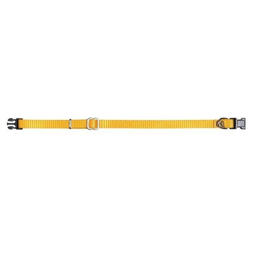 Prestige Pet 3/8 Inch Adjustable Nylon Puppy Collar Gold 23-36cm