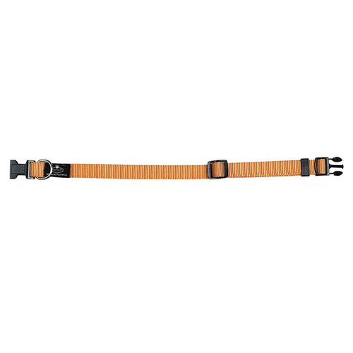 Prestige Pet 3/4 Inch Adjustable Nylon Dog Collar Gold 30-46cm