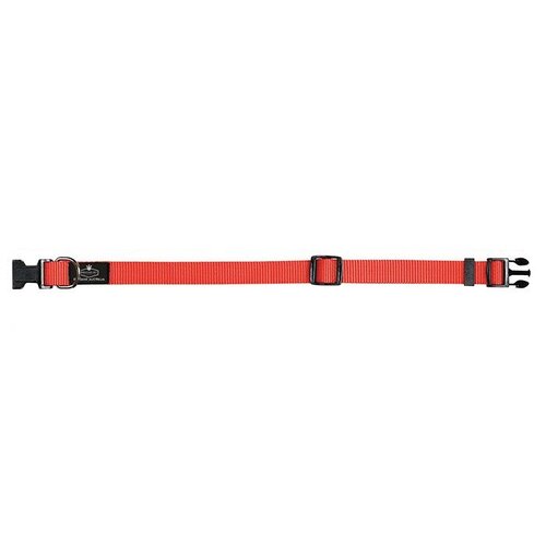 Prestige Pet 3/4 Inch Adjustable Nylon Dog Collar Red 30-46cm