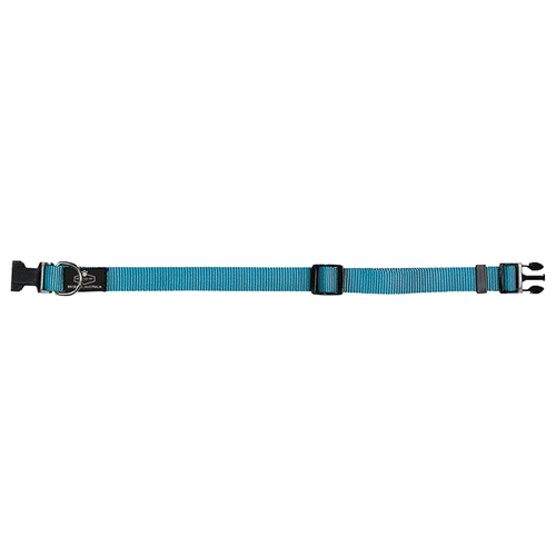 Prestige Pet 3/4 Inch Adjustable Nylon Dog Collar Turquoise 30-46cm