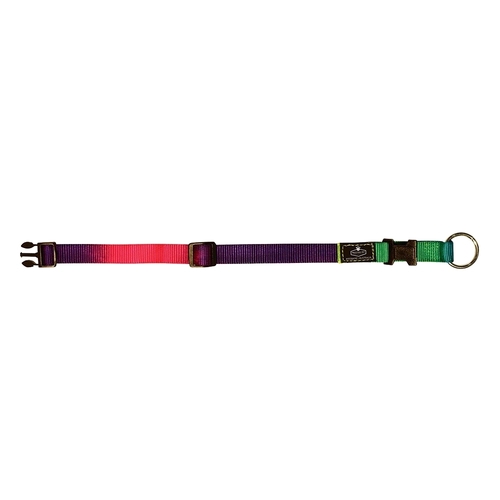 Prestige Pet 3/4" Adjustable Nylon Dog Collar Rainbow 12-19" 30-48cm