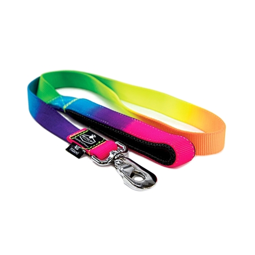 Prestige Pet Soft Padded Nylon Dog Leash Rainbow 1" x 4' 122cm