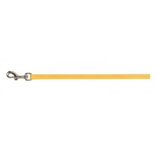 Prestige Pet Cat & Puppy Leash 3/8 Inch x 4 Ft Gold 122cm