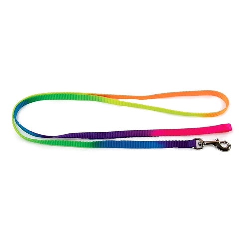 Prestige Pet Nylon Cat & Puppy Safety Leash Rainbow 3/8" x 4' 122cm