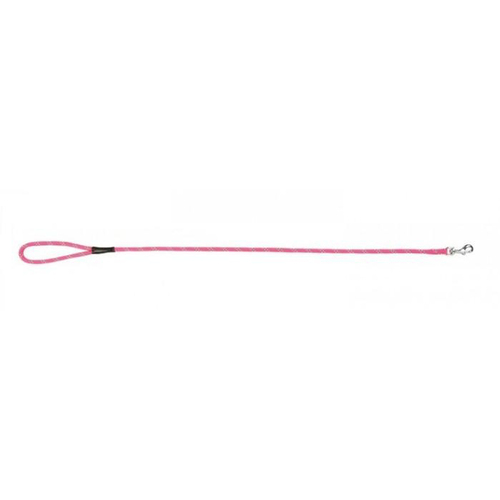 Prestige Pet Mountain Nylon Dog Leash Hot Pink 8mm x 122cm