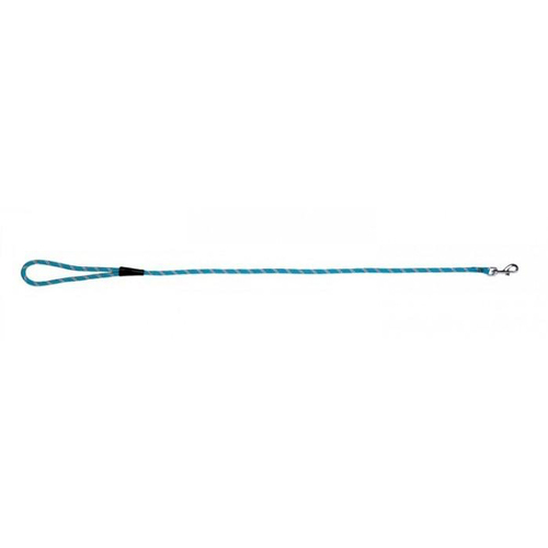 Prestige Pet Mountain Nylon Dog Leash Turquoise 8mm x 122cm