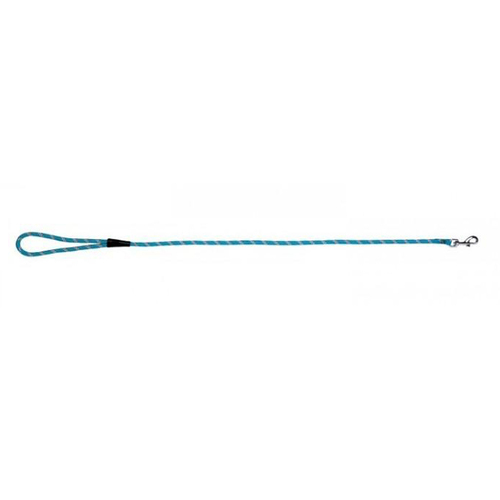 Prestige Pet Mountain Nylon Dog Leash Turquoise 8mm x 183cm