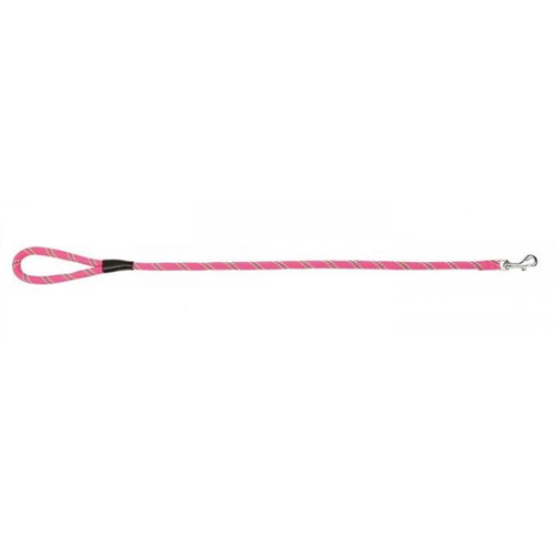 Prestige Pet Mountain Nylon Dog Leash Hot Pink 13mm x 61cm