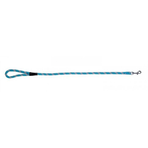 Prestige Pet Mountain Nylon Dog Leash Turquoise 13mm x 61cm