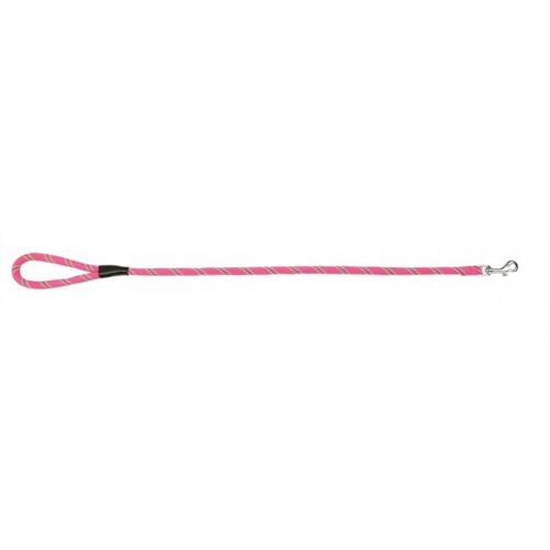 Prestige Pet Mountain Nylon Dog Leash Hot Pink 13mm x 183cm